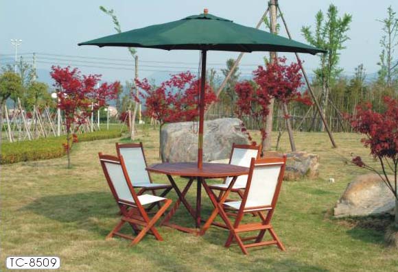 �D��TC-8509���b �c���ɷŴ�