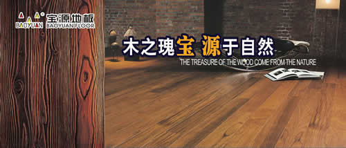 �D��ľ֮�匚,�����Ҍ�Դ�ذ� �c���ɷŴ�