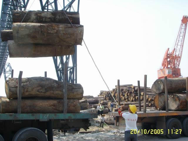 �D������a(ch��n)ԭľ �c���ɷŴ�