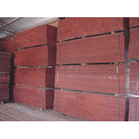 �D����ˮģ��췿 �c���ɷŴ�