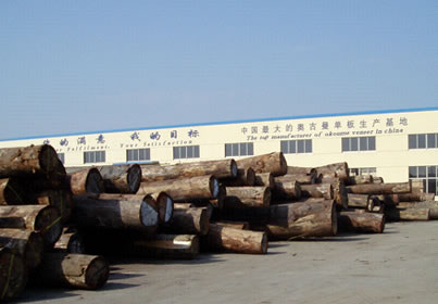 �D���Ї����ĊW�������Іΰ����a�S�� �c���ɷŴ�