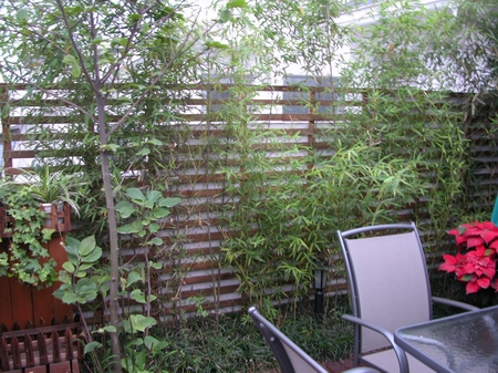 �D�����Ō����� �c���ɷŴ�