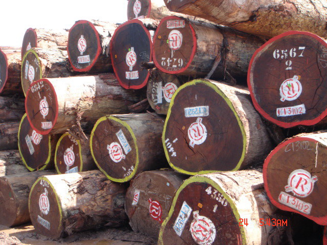 �D������A�P�� �c(di��n)���ɷŴ�