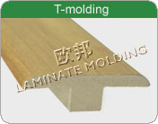 �D��T-MOLDING �c(di��n)���ɷŴ�