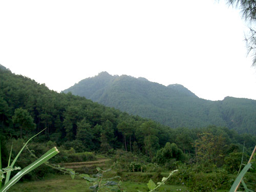 �D����˾���،�(sh��)�� �c(di��n)���ɷŴ�