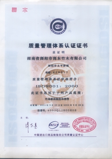 �D��ISO9001 �c(di��n)���ɷŴ�