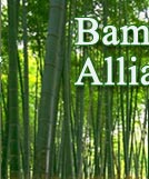 �D��bambootrade �c(di��n)���ɷŴ�