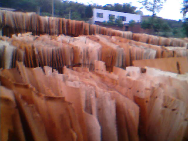 �D��ty.jpg �c���ɷŴ�