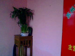 �D����˾�DƬ �c(di��n)���ɷŴ�