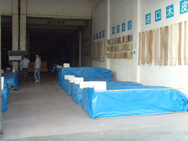 �D��ľƤ �c(di��n)���ɷŴ�