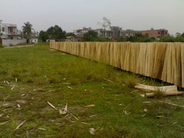 �D����� �c(di��n)���ɷŴ�