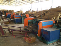 �D���ӹ��S �c���ɷŴ�