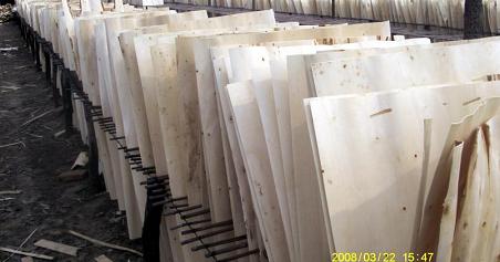 �D����ľ�ΰ� �c(di��n)���ɷŴ�