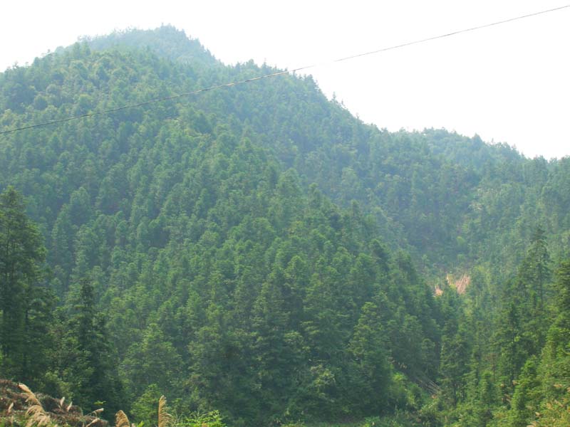 �D��ɽ�� �c(di��n)���ɷŴ�