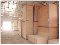 �D�����l(f��)؛�� �c���ɷŴ�