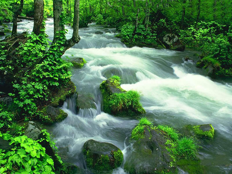 �D���h(hu��n)�� �c(di��n)���ɷŴ�