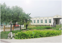 �D����˾���� �c���ɷŴ�