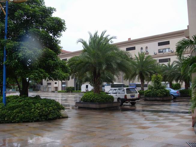 �D���V������ľ�I(y��)���޹�˾ �c���ɷŴ�