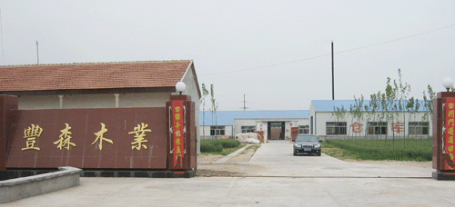 �D��cf �c(di��n)���ɷŴ�