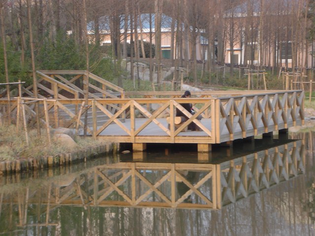 �D���Ϻ�����ľ�������Ϻ�����ľë�� �c���ɷŴ�