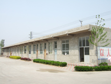 �D���S�ݏSò �c���ɷŴ�