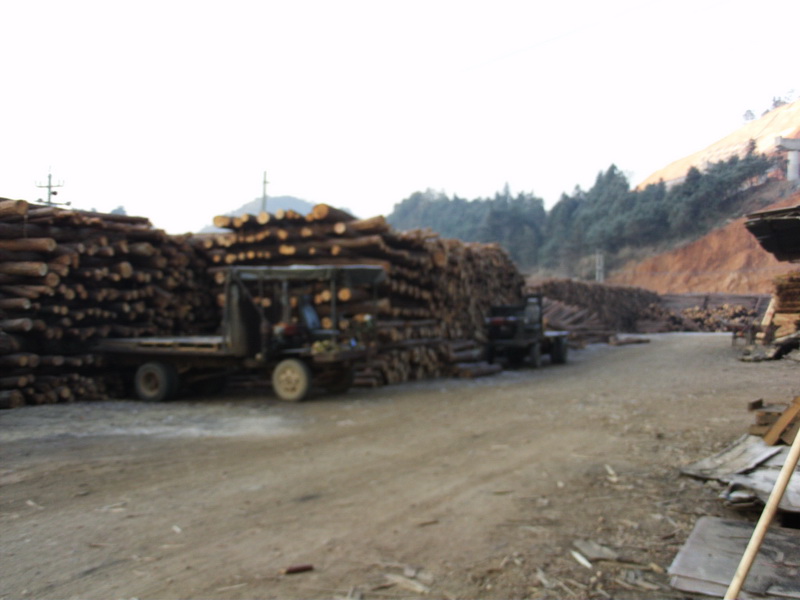 �D���S(ch��ng)��(ch��ng) �c(di��n)���ɷŴ�