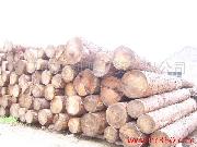 �D��ԭľ �c(di��n)���ɷŴ�