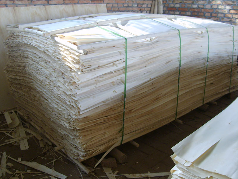 �D����ľƤ �c���ɷŴ�