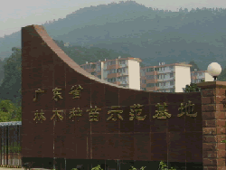 �D������ �c(di��n)���ɷŴ�