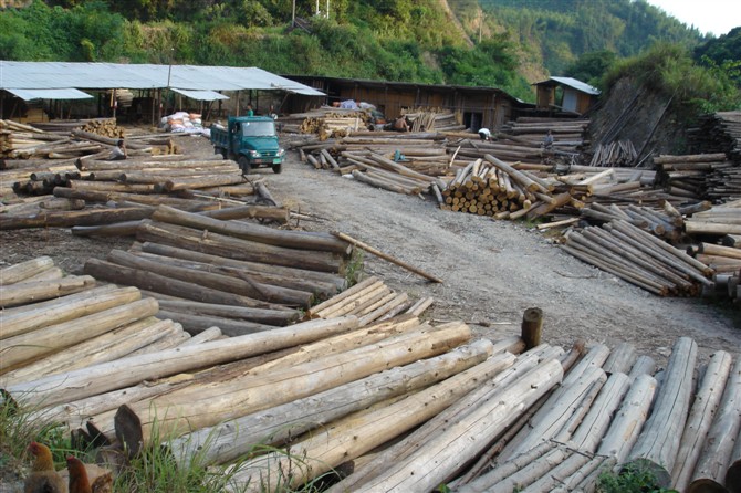 �D��ľ�ļӹ����S �c(di��n)���ɷŴ�