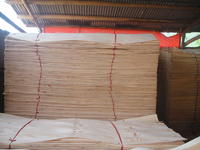 �D���Ɇΰ� �c(di��n)���ɷŴ�