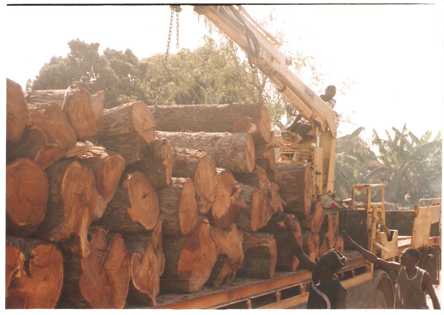 �D�����ǁ����� �c(di��n)���ɷŴ�