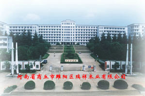 �D���S�^(q��) �c(di��n)���ɷŴ�