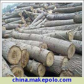 �D����ľ�� �c(di��n)���ɷŴ�