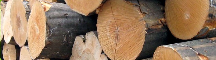 �D�����ƺ��dľ�I(y��)���޹�˾ �W�ޙ�ľ���I(y��)����(y��ng)�� �c(di��n)���ɷŴ�