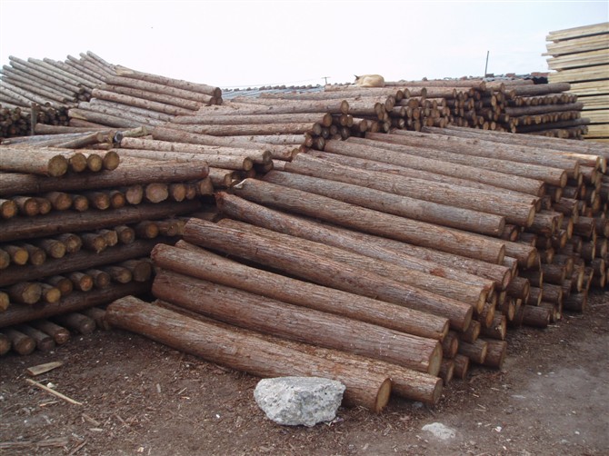 �D��ɼԭľ �c���ɷŴ�