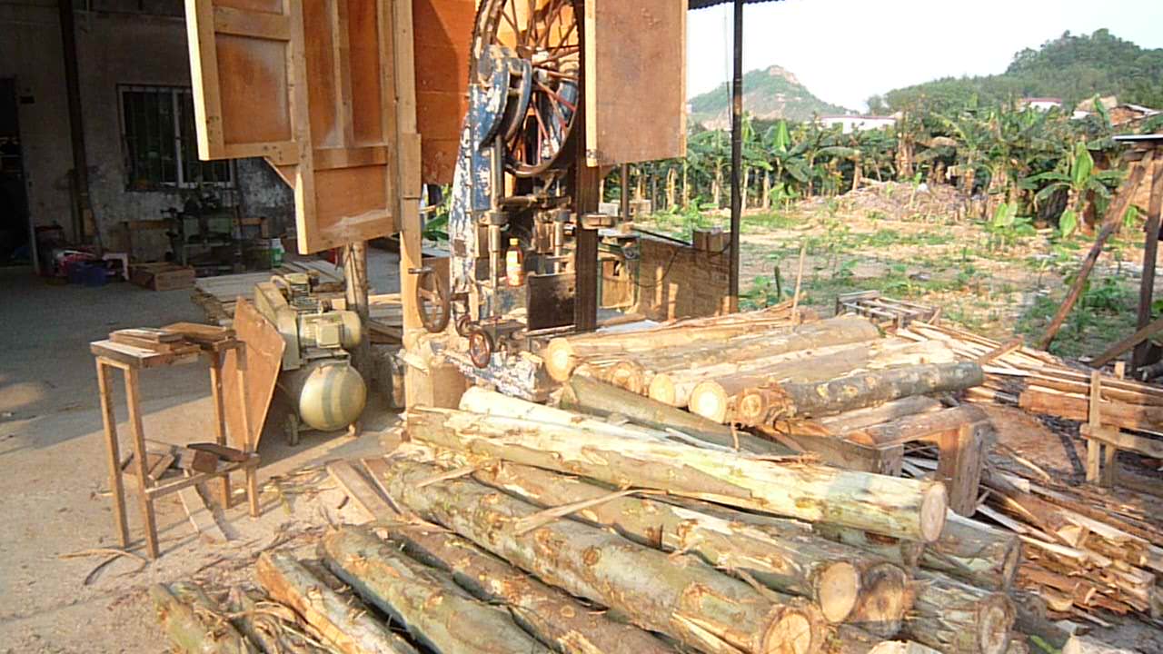 �D���sľ �c(di��n)���ɷŴ�