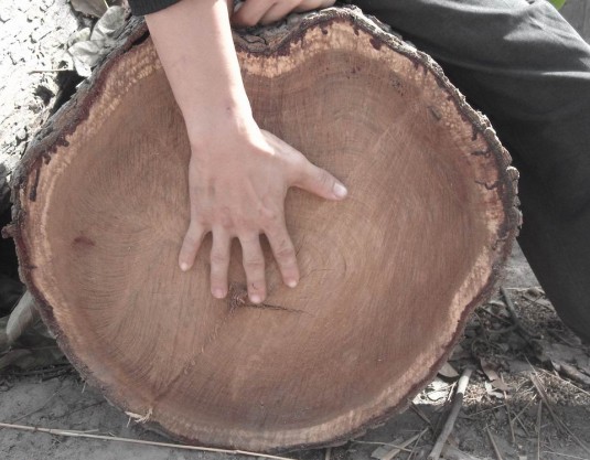 �D������ ������ľ �c(di��n)���ɷŴ�