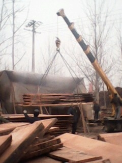 �D����ľ���ݷ��� �c���ɷŴ�