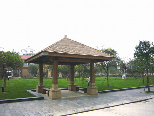 �D��ͤ��-�ɹ����� �c(di��n)���ɷŴ�