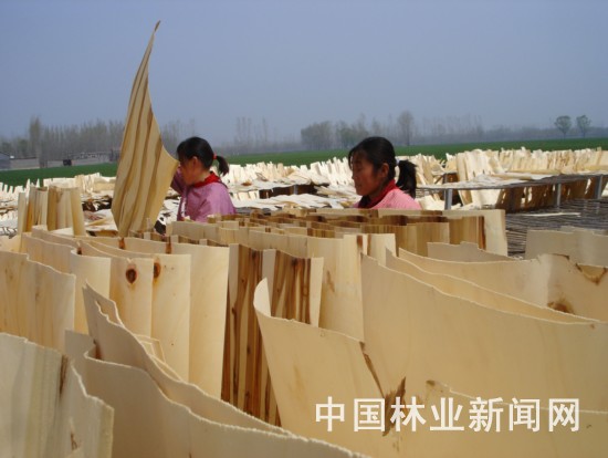 �D��5 �c���ɷŴ�