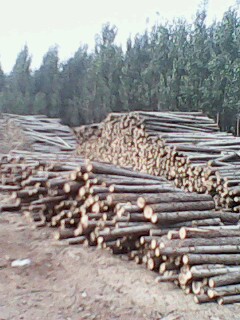 �D����˾��(sh��)�� �c(di��n)���ɷŴ�