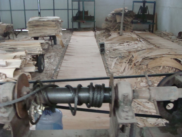 �D����Ƥ�C(j��)��3�_(t��i) �c(di��n)���ɷŴ�