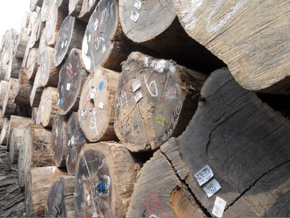 �D���T(m��n)�� �c(di��n)���ɷŴ�