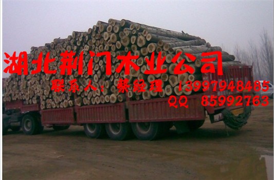 �D�������G�Tľ�I(y��)��˾ �c(di��n)���ɷŴ�