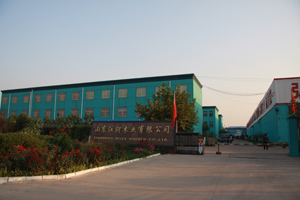 �D����˾�DƬ �c���ɷŴ�