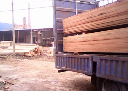 �D������t�������ɷ���ľ�b܇ �c(di��n)���ɷŴ�