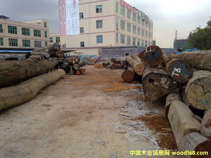 �D���S�^(q��)ȫ�� �c���ɷŴ�