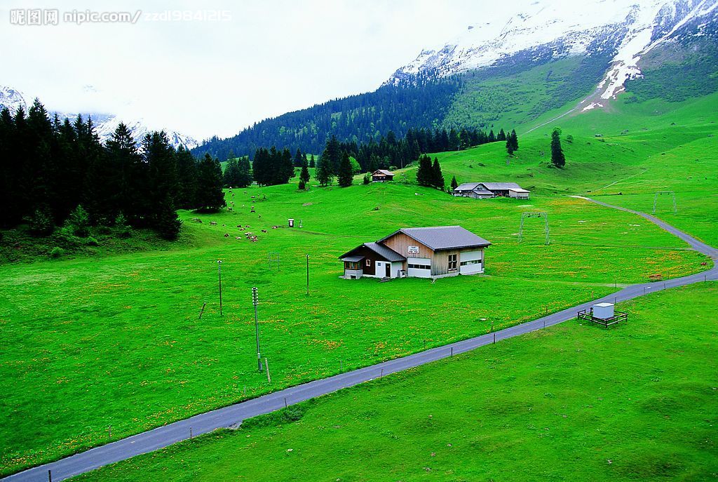 �D���L(f��ng)�� �c���ɷŴ�