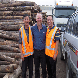 �D�������L�H�R����ԭľ�ѷň� �c���ɷŴ�